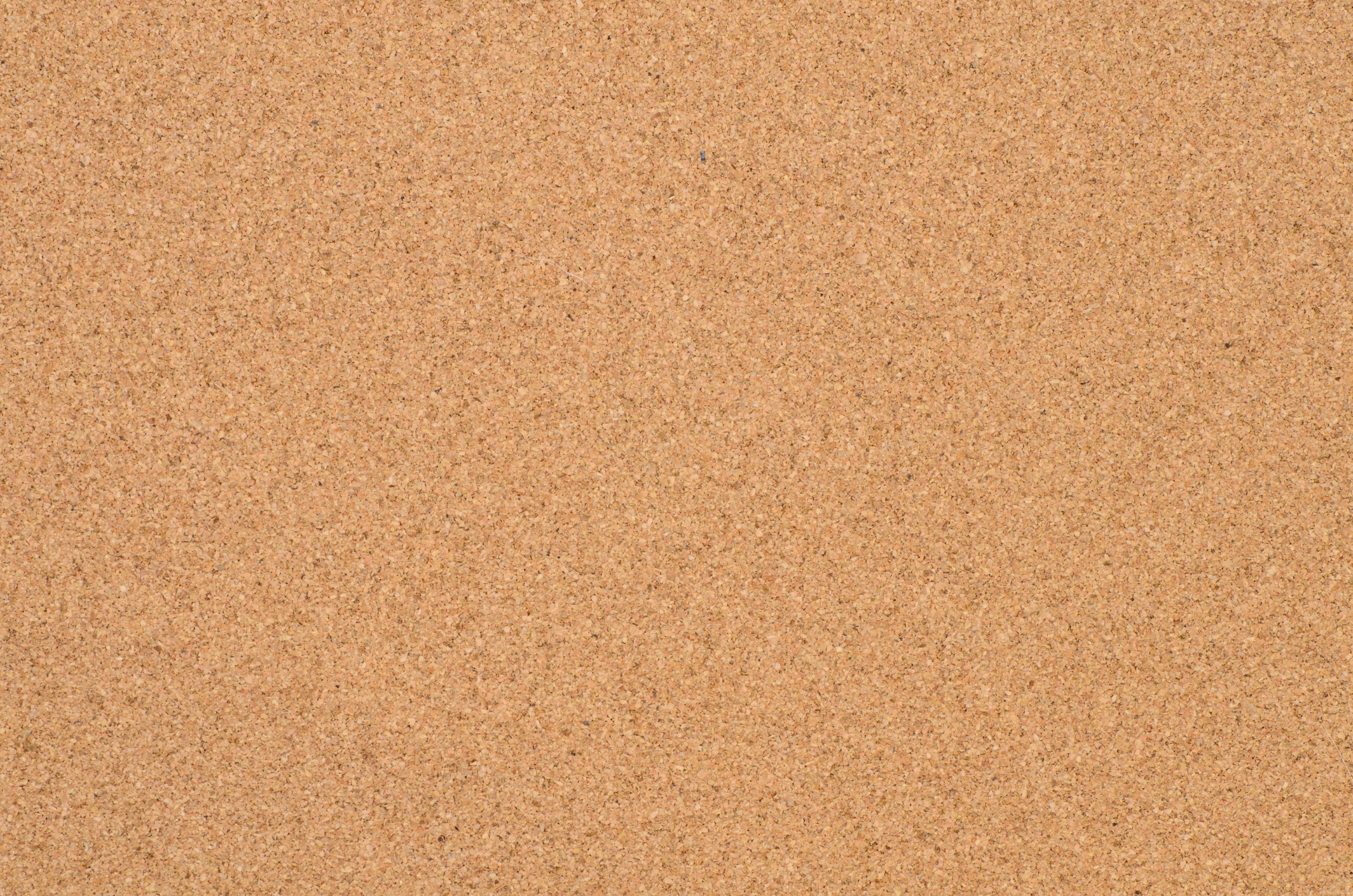 cork board texture